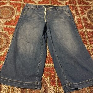 torrid Blue Wide Leg Flare Jeans